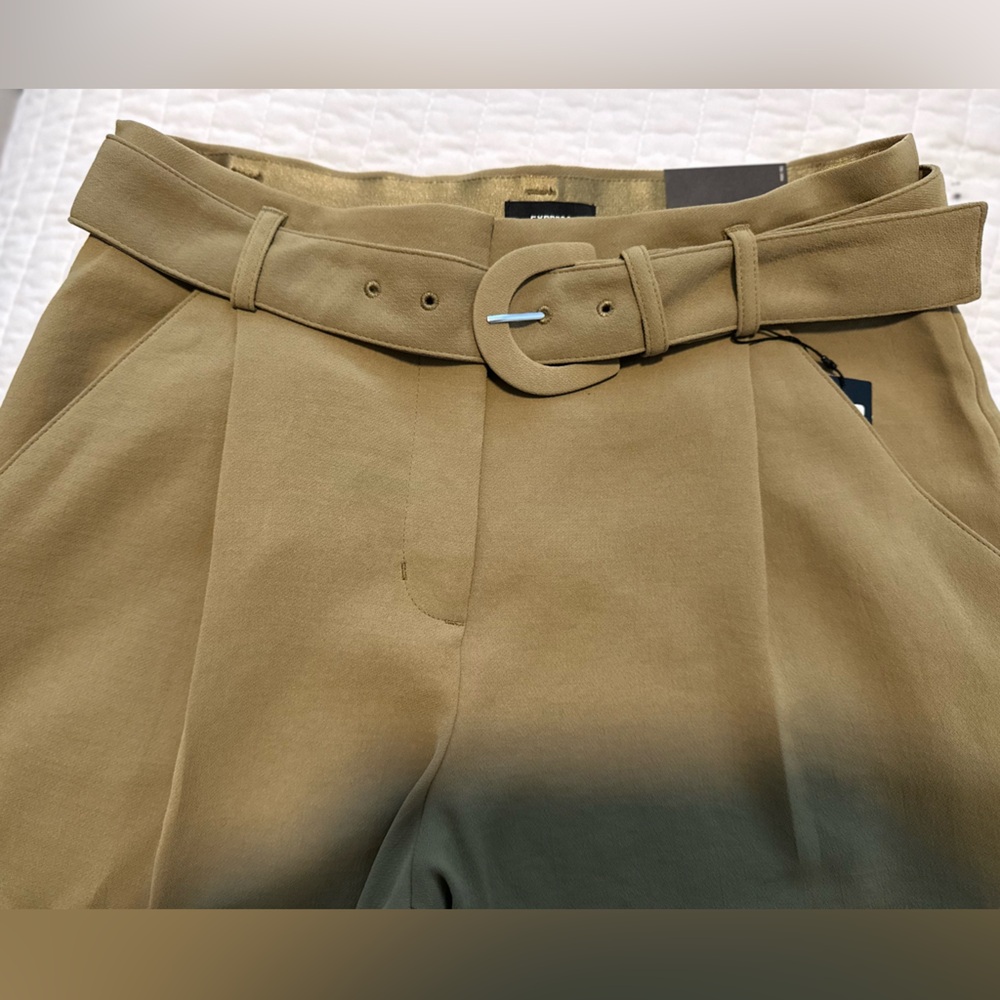 Express Stylish Green Belted Pants